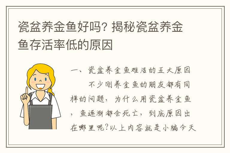 瓷盆养金鱼好吗? 揭秘瓷盆养金鱼存活率低的原因