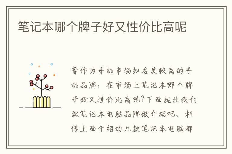 笔记本哪个牌子好又性价比高呢