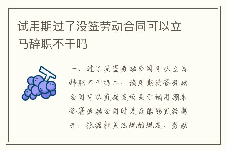 试用期过了没签劳动合同可以立马辞职不干吗